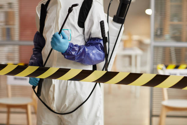 Professional Blood Cleanup technician working in Port Jefferson, NY